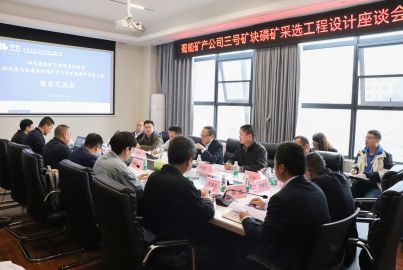 蜀能礦產召開&ldquo;三號礦塊&rdquo;采選工程設計座談會