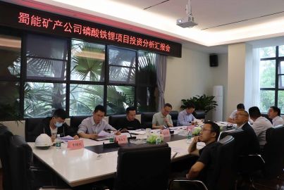 蜀能礦產(chǎn)公司召開(kāi)磷酸鐵鋰項(xiàng)目投資分析匯報(bào)會(huì)