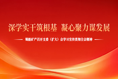 深學實干筑根基 凝心聚力謀發(fā)展&mdash;&mdash;蜀能礦產召開支委（擴大）會學習宣傳貫徹全會精神